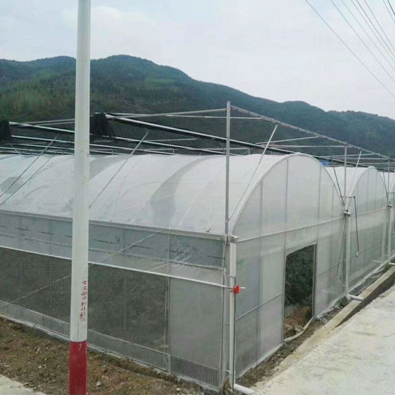 松江外遮陽連棟大棚