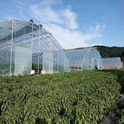 松江溫室大棚