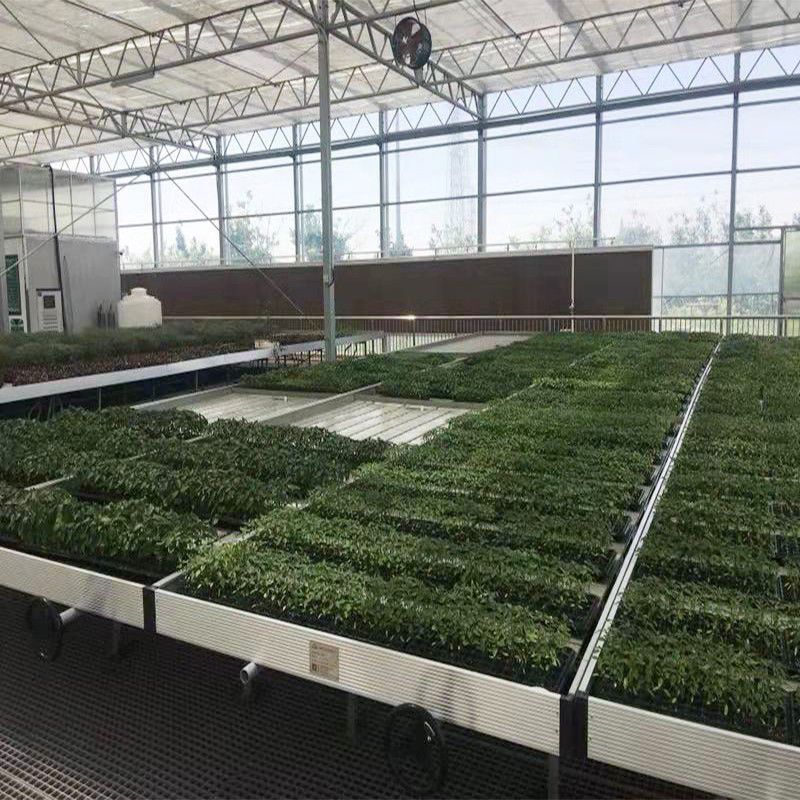 松江蔬菜大棚