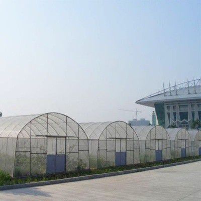松江西瓜大棚