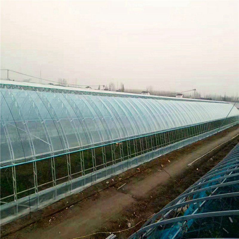 松江蔬菜大棚