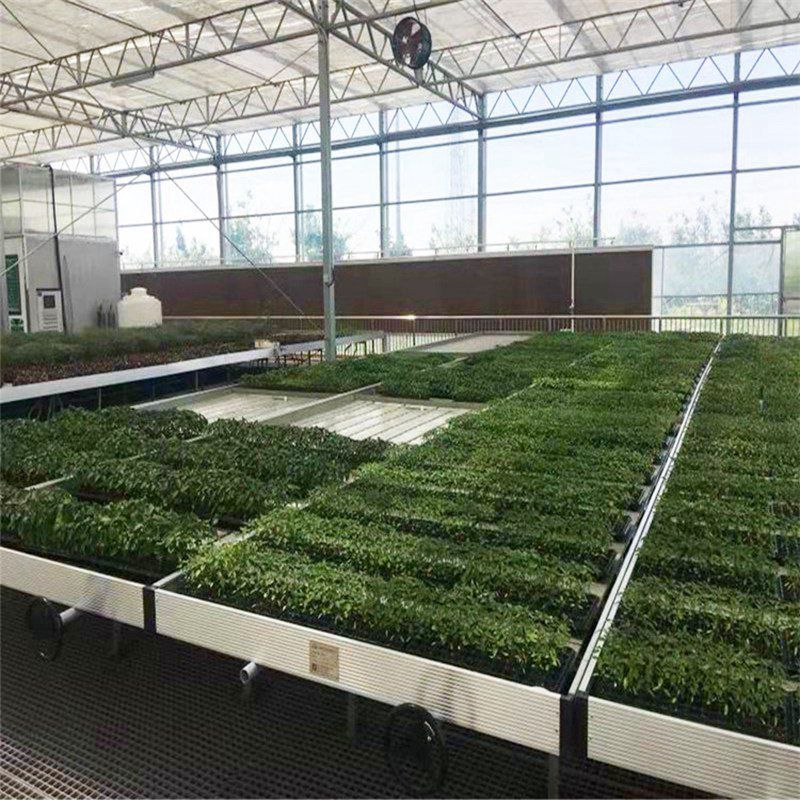 松江蔬菜大棚