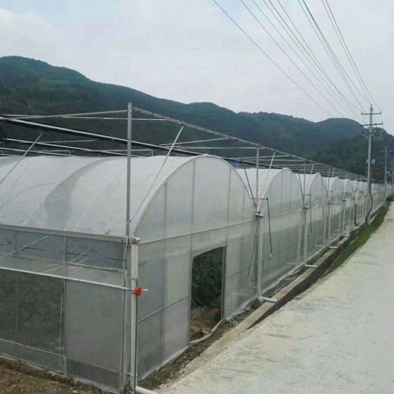 松江外遮陽連棟大棚