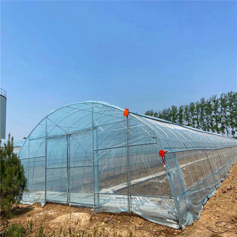 松江蔬菜大棚